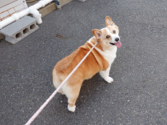 DSCF3872.JPG