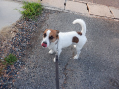 DSCF3886.JPG