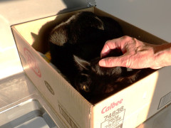 DSCF3892.JPG