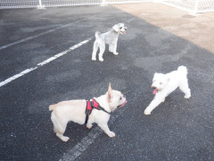 DSCF3907.JPG