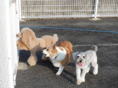 DSCF3912.JPG