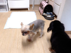 DSCF3934.JPG