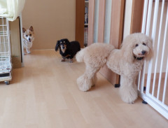 DSCF3928.JPG