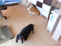 DSCF3919.JPG