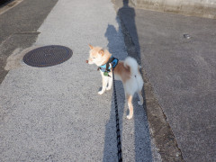 DSCF3937.JPG