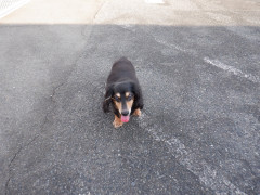 DSCF3943.JPG