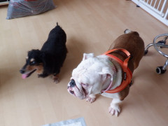 DSCF3964.JPG