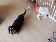 DSCF3962.JPG