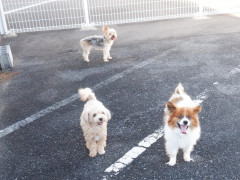 DSCF3979.JPG