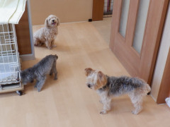 DSCF3991.JPG