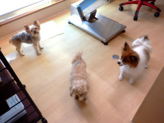 DSCF3987.JPG
