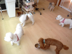 DSCF4015.JPG