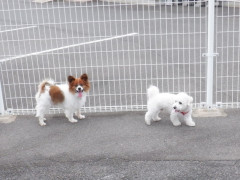 DSCF4028.JPG
