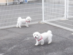 DSCF4025.JPG