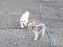 DSCF4040.JPG