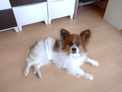 DSCF4049.JPG