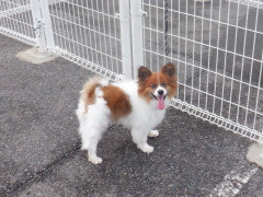 DSCF4055.JPG