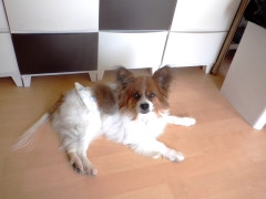 DSCF4060.JPG