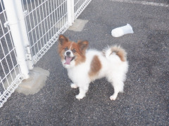 DSCF4070.JPG
