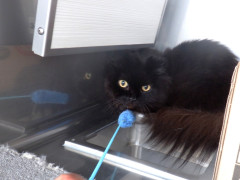 DSCF4081.JPG