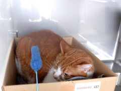 DSCF4080.JPG