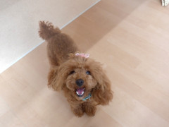 DSCF4088.JPG