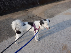 DSCF4093.JPG