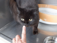 DSCF4126.JPG
