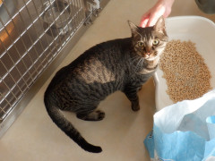 DSCF4105.JPG