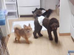 DSCF4135.JPG