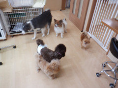 DSCF4181.JPG