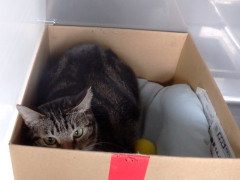 DSCF4171.JPG