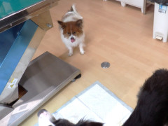 DSCF4197.JPG