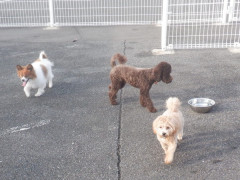 DSCF4216.JPG