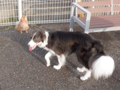 DSCF4221.JPG