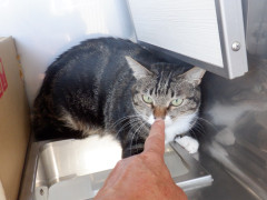 DSCF4258.JPG