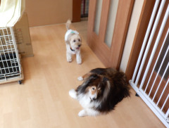DSCF4259.JPG