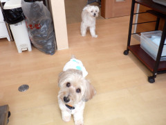 DSCF4269.JPG