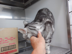 DSCF4272.JPG