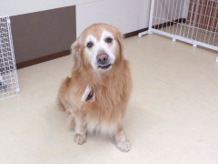 DSCF4282.JPG