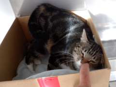 DSCF4285.JPG
