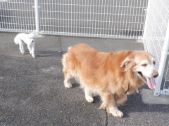 DSCF4298.JPG