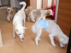 DSCF4322.JPG
