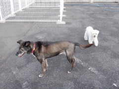 DSCF4330.JPG