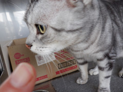 DSCF4348.JPG