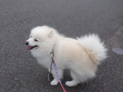 DSCF4361.JPG