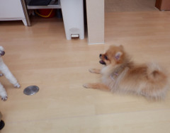 DSCF4369.JPG