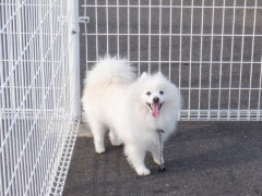 DSCF4378.JPG