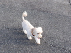DSCF4384.JPG