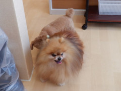 DSCF4399.JPG
